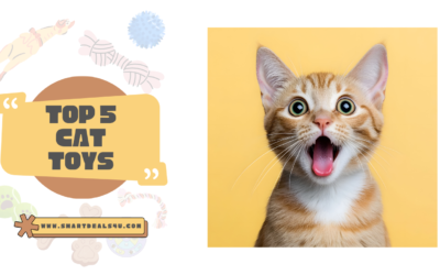 Top 5 Cat Toys