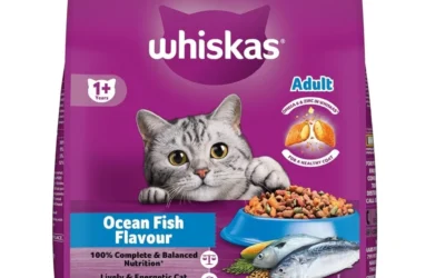 TOP 5 CAT FOODS